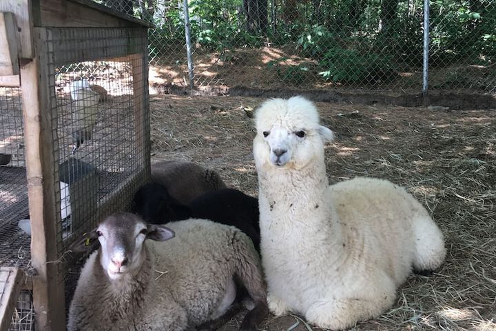 Hotel Exterior 65 of 69