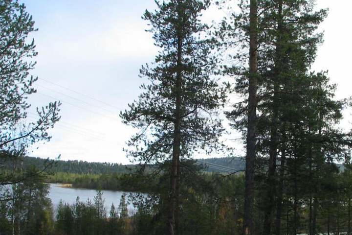 Property Grounds 23 of 26