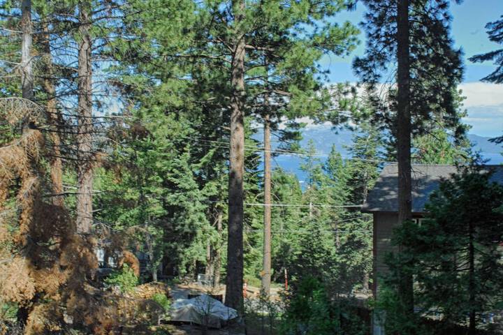 Property Grounds 41 of 56