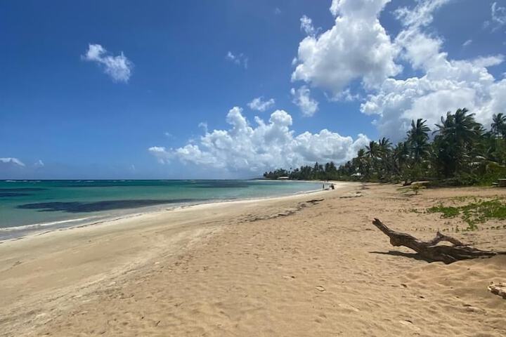 Beach 47 of 57