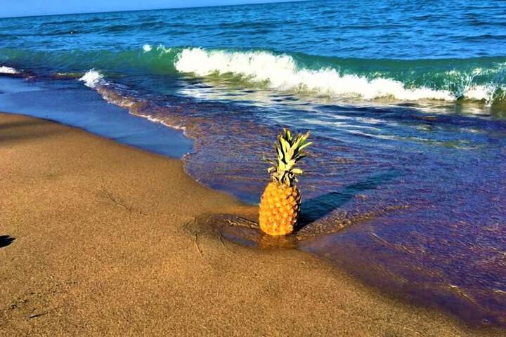 Beach 44 of 55