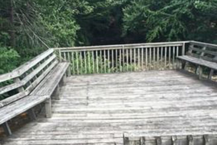Property Grounds 11 of 16