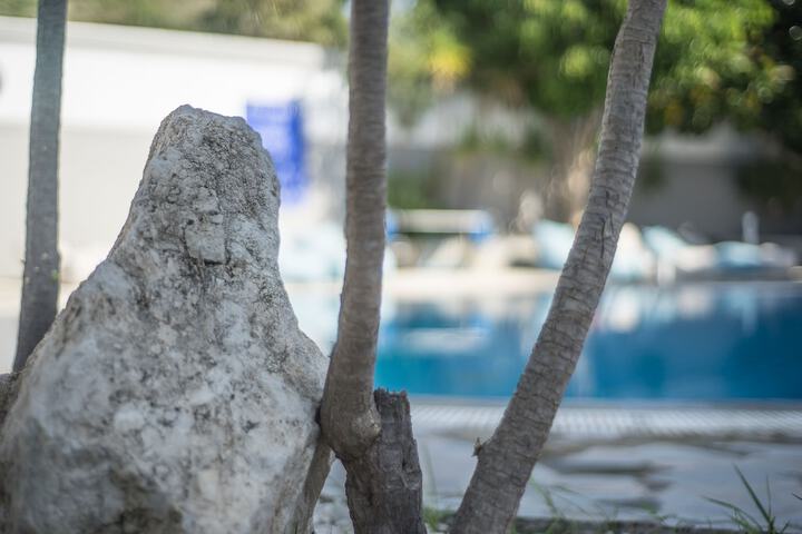 Pools & Facilities