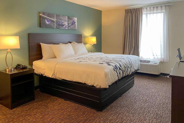 1 King Bed (4 of 9)