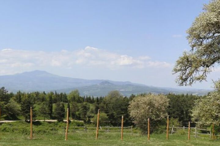Verdidea Bellavista