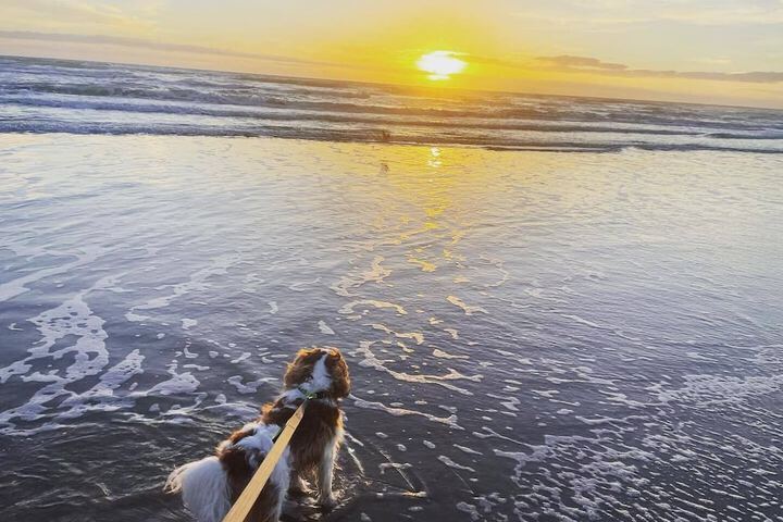 Beach 128 of 148