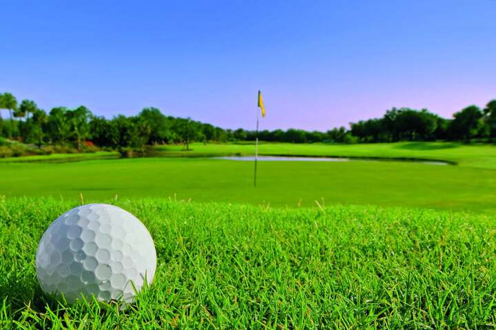 Mini-golf