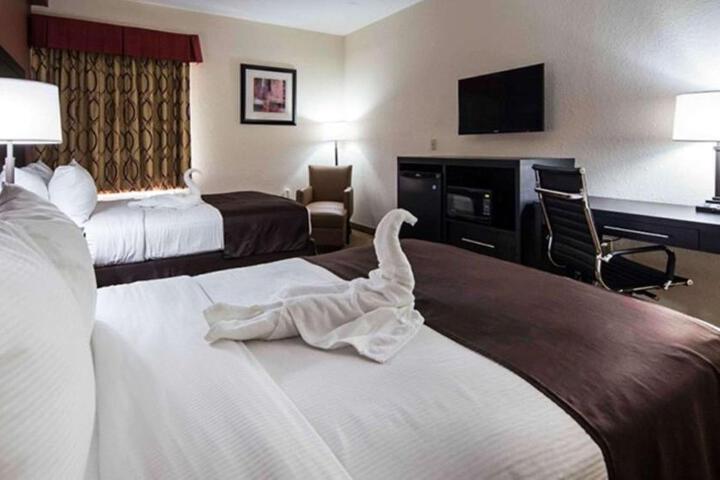 2 Queen Beds (6 of 7)