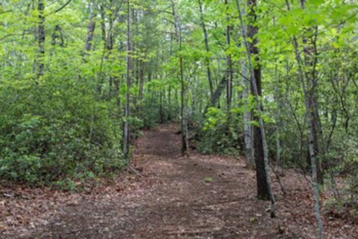 Property Grounds 56 of 86