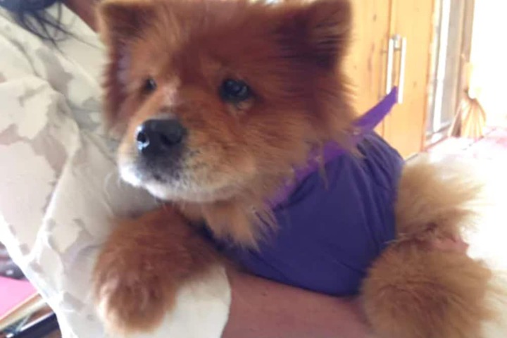 Pet Friendly 77 of 105