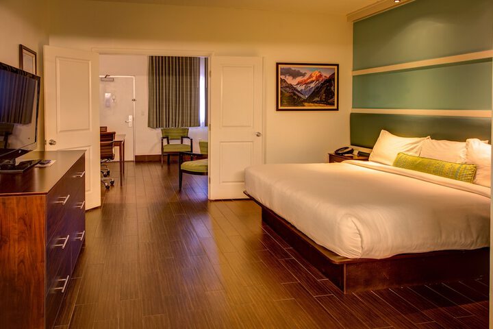 1 King Bed Accessible (12 of 14)