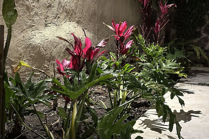 Terrace/Patio 8 of 11
