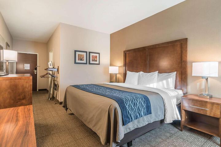 Standard Room, King or Two Doubles (3 of 8)