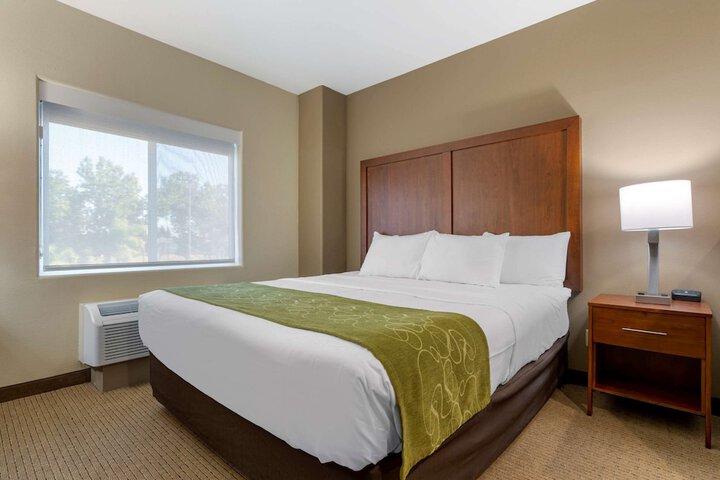 1 King Bed Suite (5 of 16)