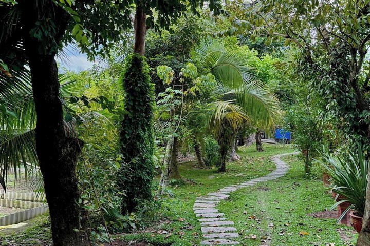 Property Grounds 19 of 25