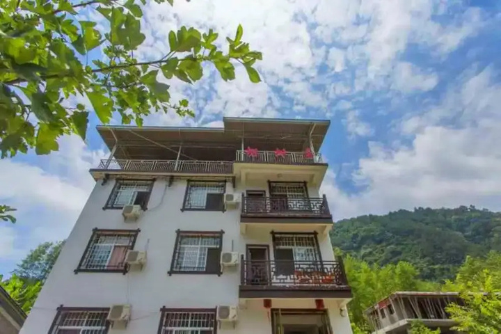 Canopy Tree House