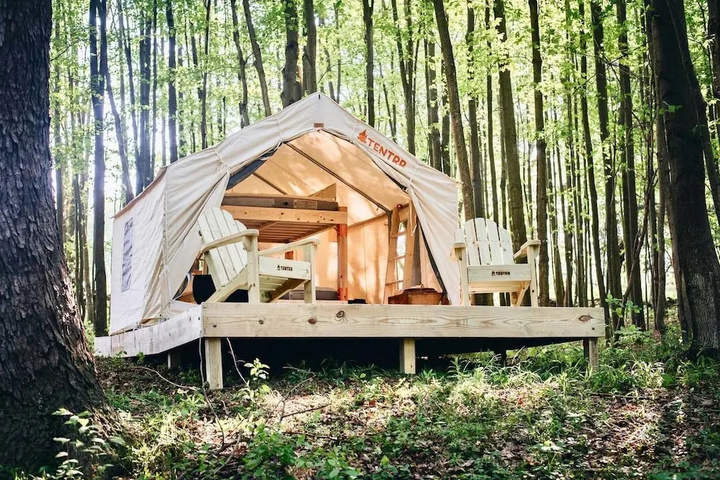 Tentrr  hollow Tree Camp