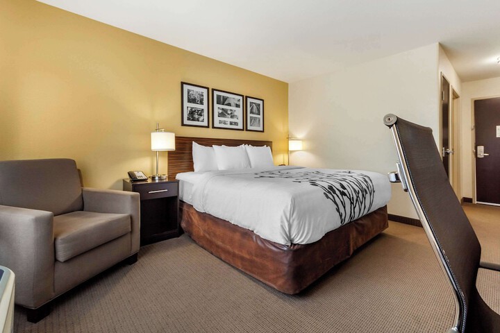 1 King Bed Accessible (3 of 18)