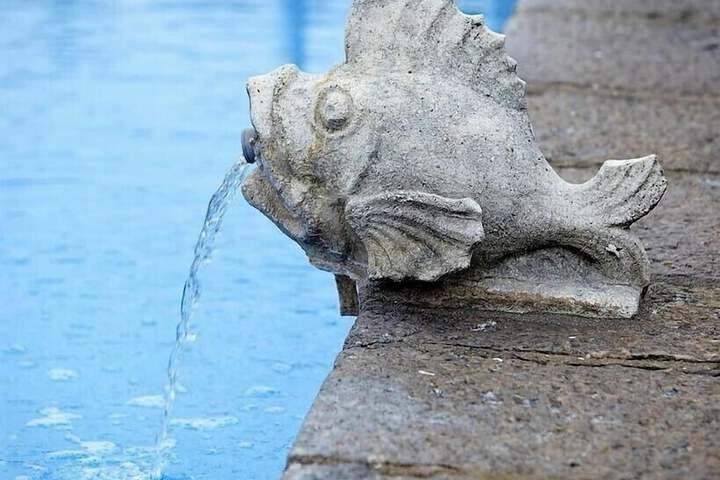 Pool Hotel