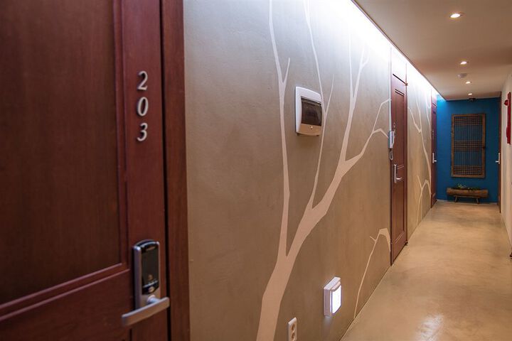 Suite Photo