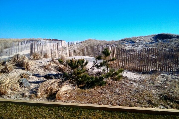 Beach 115 of 122