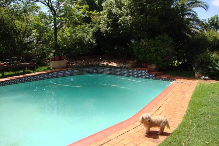 Pool 15 of 59