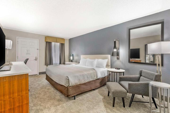 1 King Bed (6 of 8)