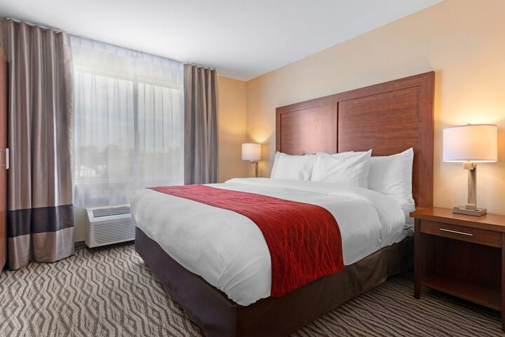 1 King Bed (6 of 11)