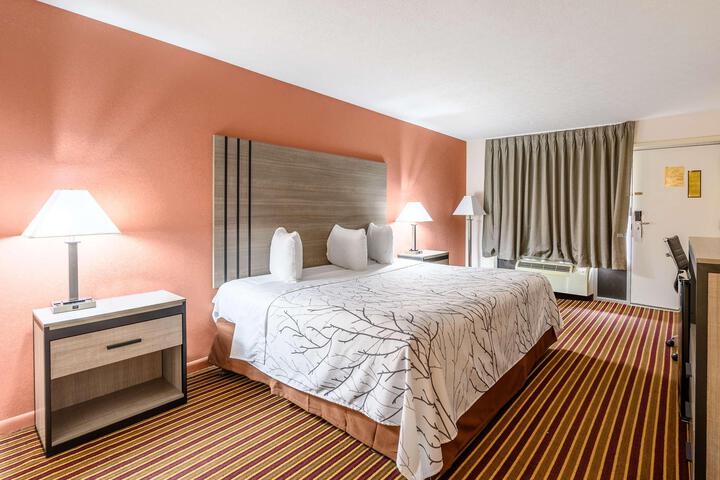 1 King Bed (6 of 15)