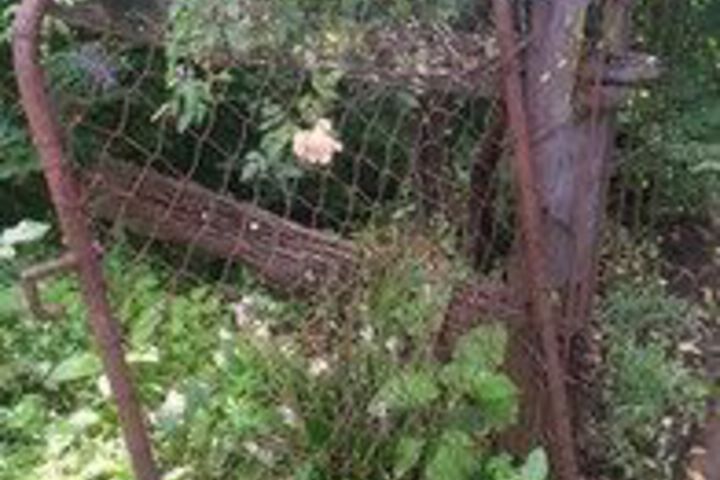 Hotel Exterior 24 of 60