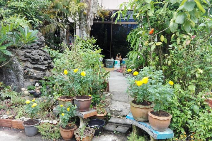 Property Grounds 28 of 36