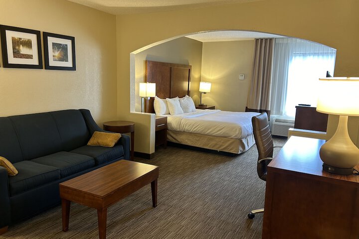 1 King Bed Suite (8 of 10)