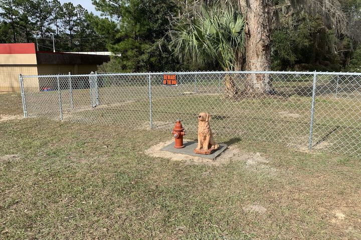 Pet Friendly 14 of 22