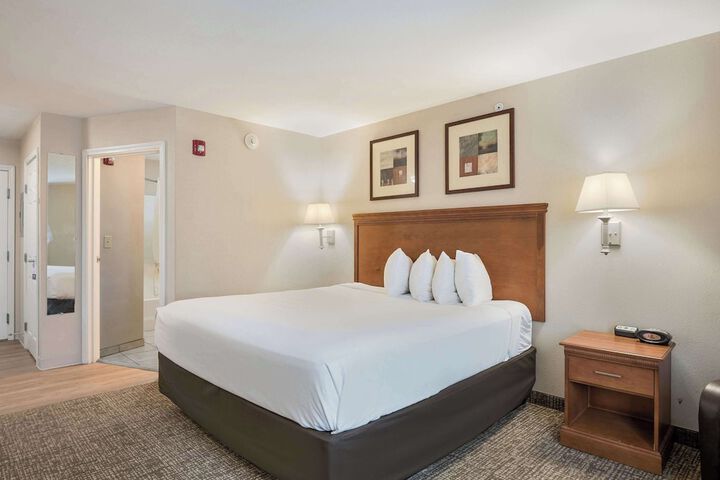 Standard | King Bed (7 of 22)