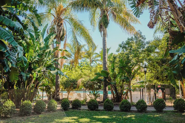 Garden view