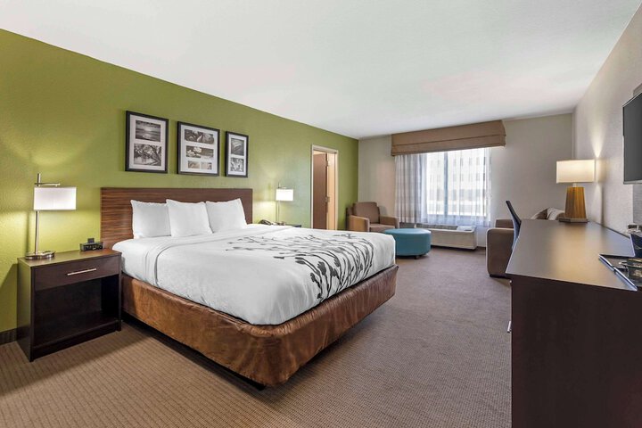 1 King Bed (27 of 38)