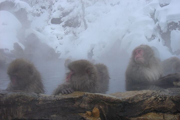 Hot springs