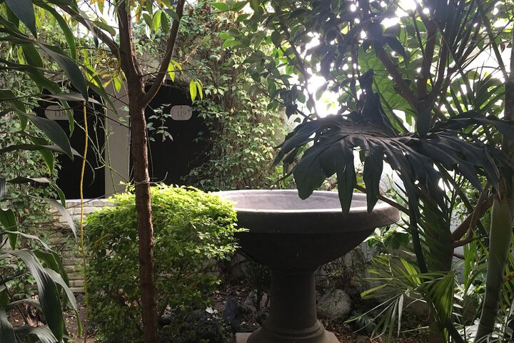Property Grounds 42 of 51