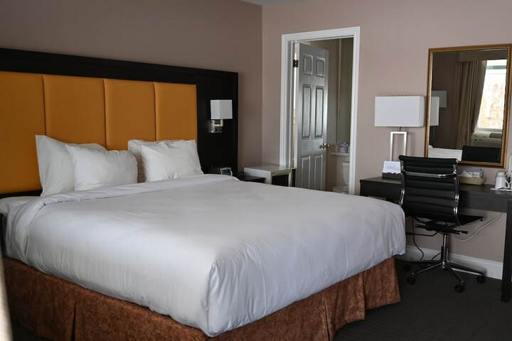 Room 15 of 124