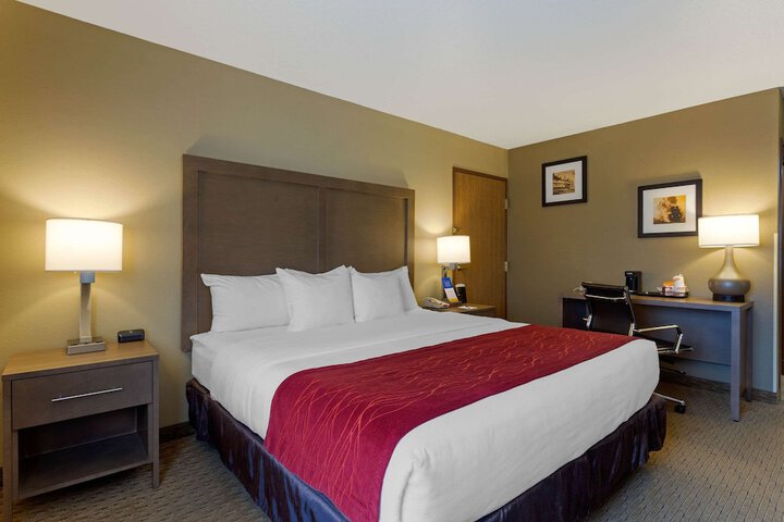 1 King Bed (7 of 16)