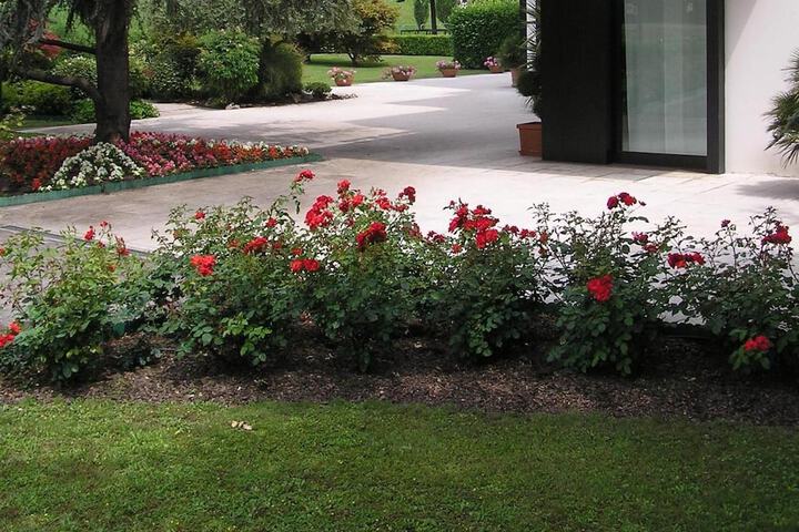 Property Grounds 28 of 35