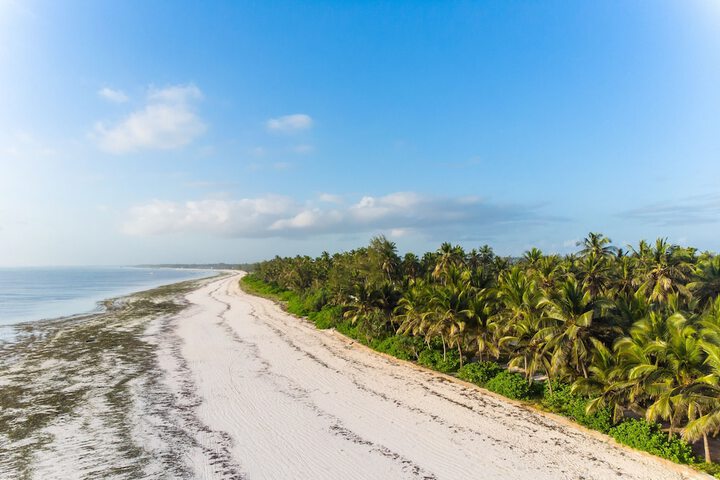 Beach 60 of 65