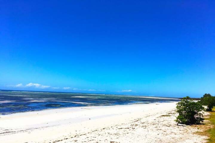 Beach 52 of 67