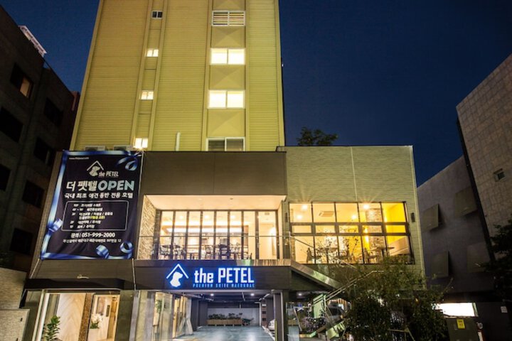 Sleep with Your Own Pet Only - The Petel in Busan