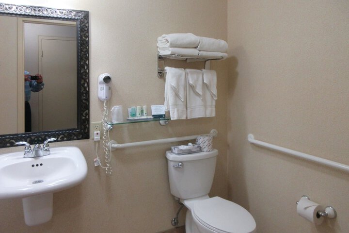 1 Queen Bed Accessible (3 of 15)