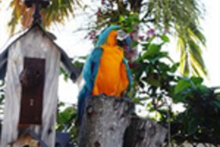 Spa and Wellness Pictures