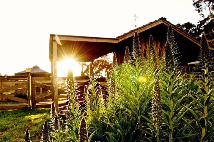 Hotel Exterior 75 of 87