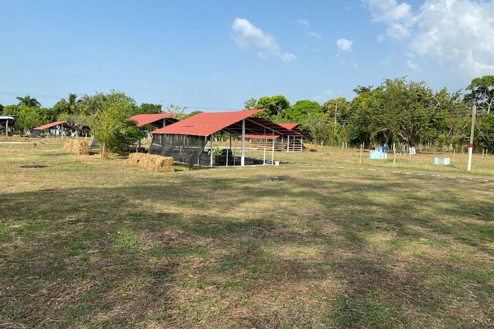Property Grounds 39 of 50