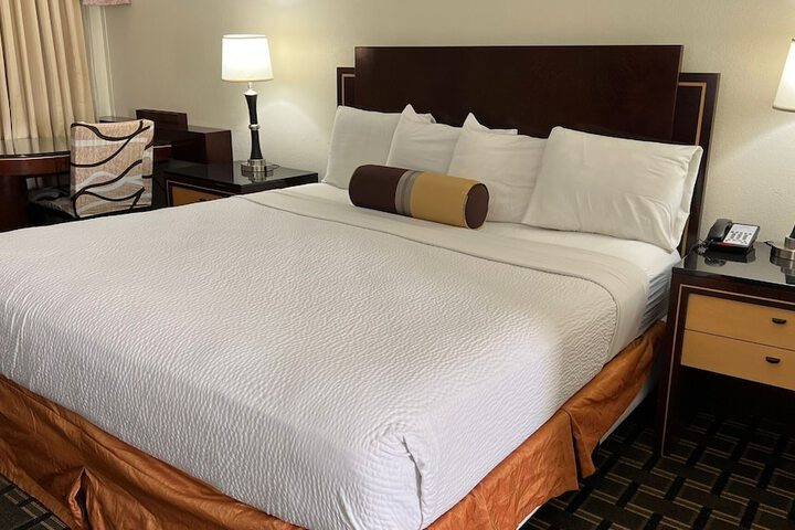 Standard | King Bed (4 of 14)