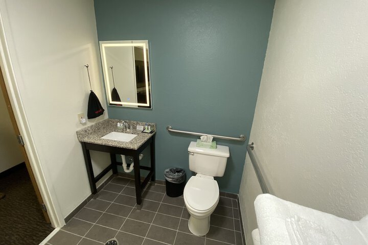 1 King Bed Accessible (3 of 15)